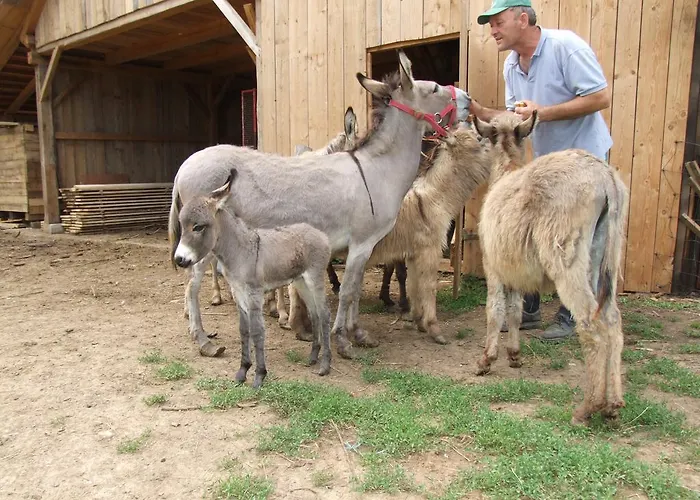 בית חווה Tourist Farm Ob Izviru Krupe