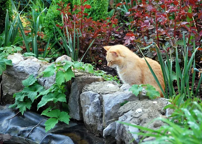 בית חווה Tourist Farm Ob Izviru Krupe Semic